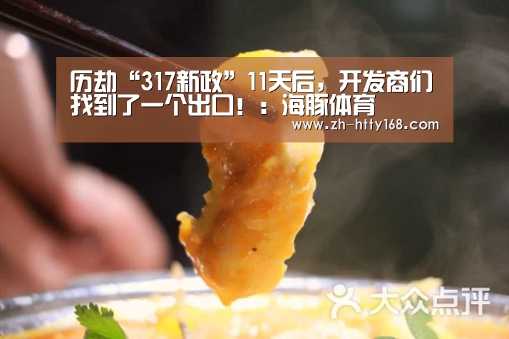 历劫“317新政”11天后,开发商们找到了一个出口!:海豚体育(图1) 海豚体育